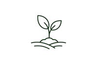 Smart Planting Recommendations